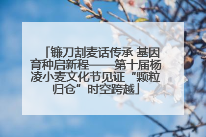 镰刀割麦话传承 基因育种启新程——第十届杨凌小麦文化节见证“颗粒归仓”时空跨越